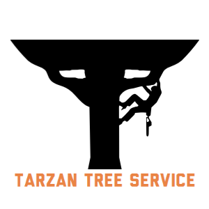 Tarzan Tree LLC