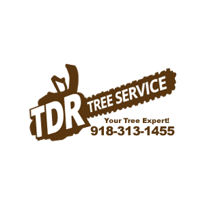 TDR Tree Service