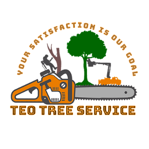 Teo Tree Service