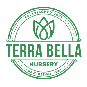 Terra Bella Nursery