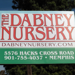 The Dabney Nursery