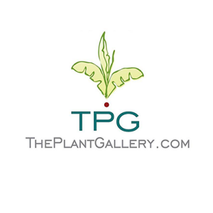 The Plant Gallery