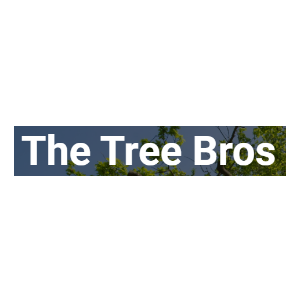 The-Tree-Bros-National-City