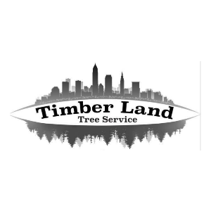 Timber Care Tree Service