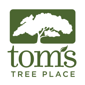 Tom_s-Tree-Place