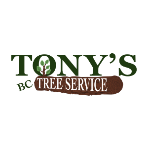 Tony_s BC Tree Service