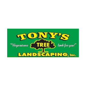 Tony_s Tree and Landscaping