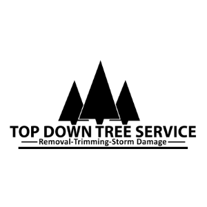 Top Down Tree Service