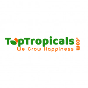 Top Tropicals