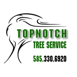 Topnotch Tree Service