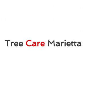 Tree Care Marietta