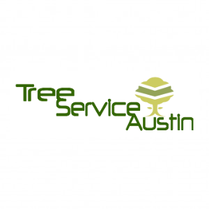 Tree Service Austin