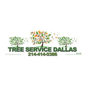 Tree Service Dallas