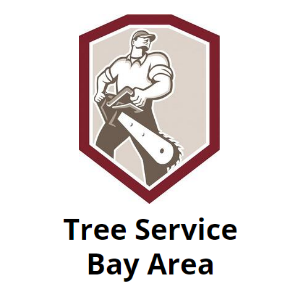 Tree Services Bay Area