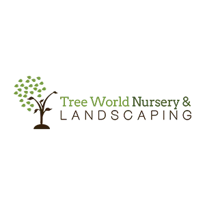 Tree-World-Nursery-And-Landscaping