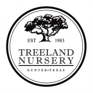 Treeland Nursery