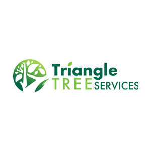 Triangle Tree Services