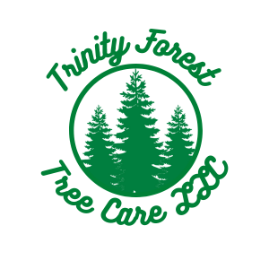 Trinity Forest Tree Care Service LLC