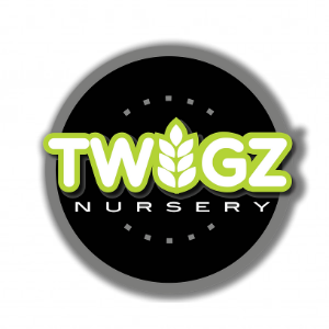 Twigz Nursery