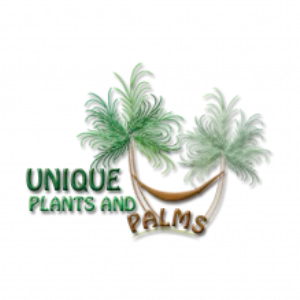 Unique Plants _ Palms Retail Garden Shop