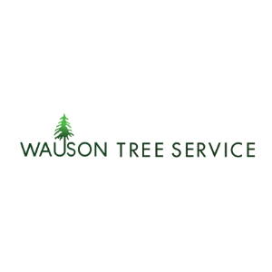 Wauson Tree Service