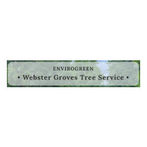 Webster Groves Tree Service
