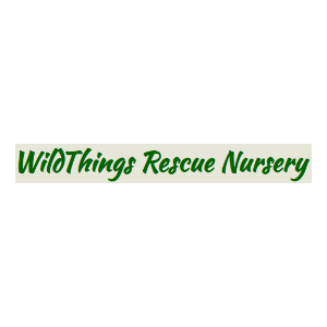 Wildthings Rescue Nursery