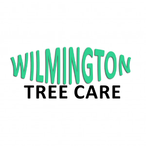 Wilmington Tree Care