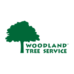 Woodland Tree Service, LLC