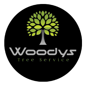 Woody_s Tree Service