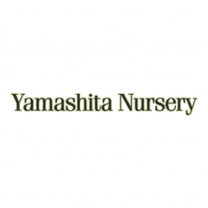 Yamashita Nursery