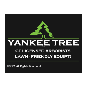 Yankee Tree, LLC