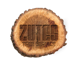 Zutes Tree Service